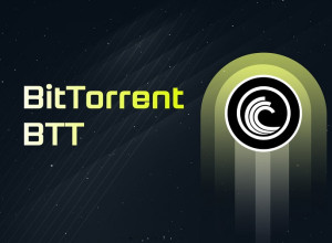 BitTorrent (BTTC)