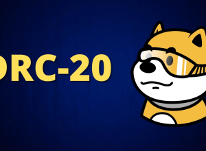 DRC-20 là gì ? Hướng dẫn mint mã thông báo trên mạng DRC-20